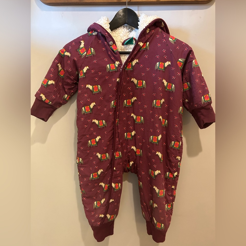 Little green radicals Sherpa snow suit